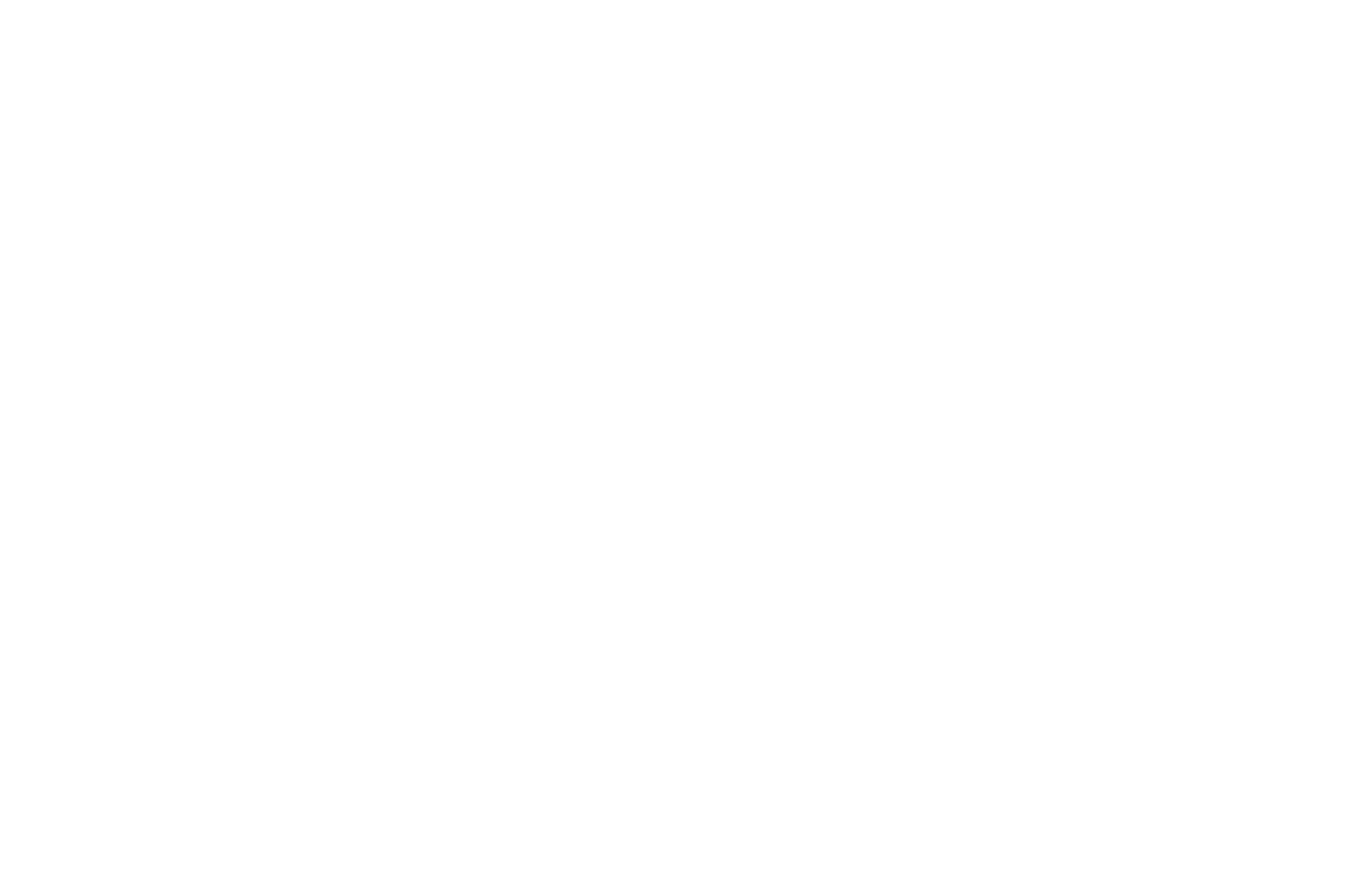 Official Selection — CEFF Tallahassee 2020